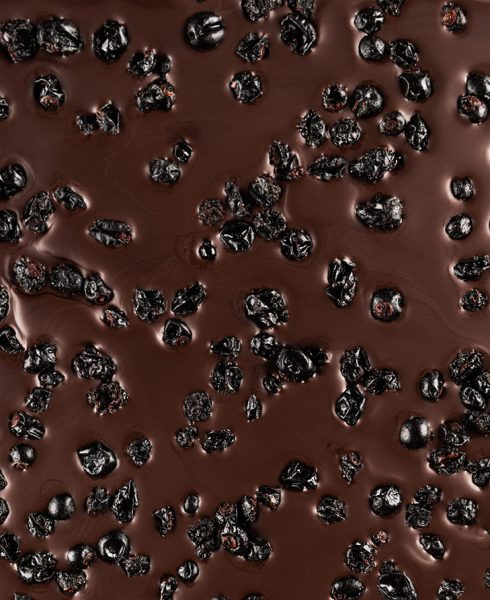 Chocolate Slab with Black Currants